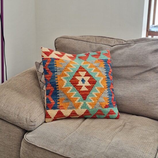 designer cushion cover