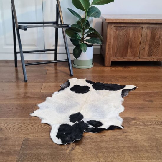 area rug